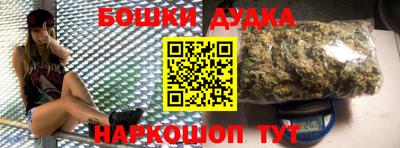 МДПВ Партизанск