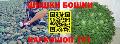 МДПВ Партизанск