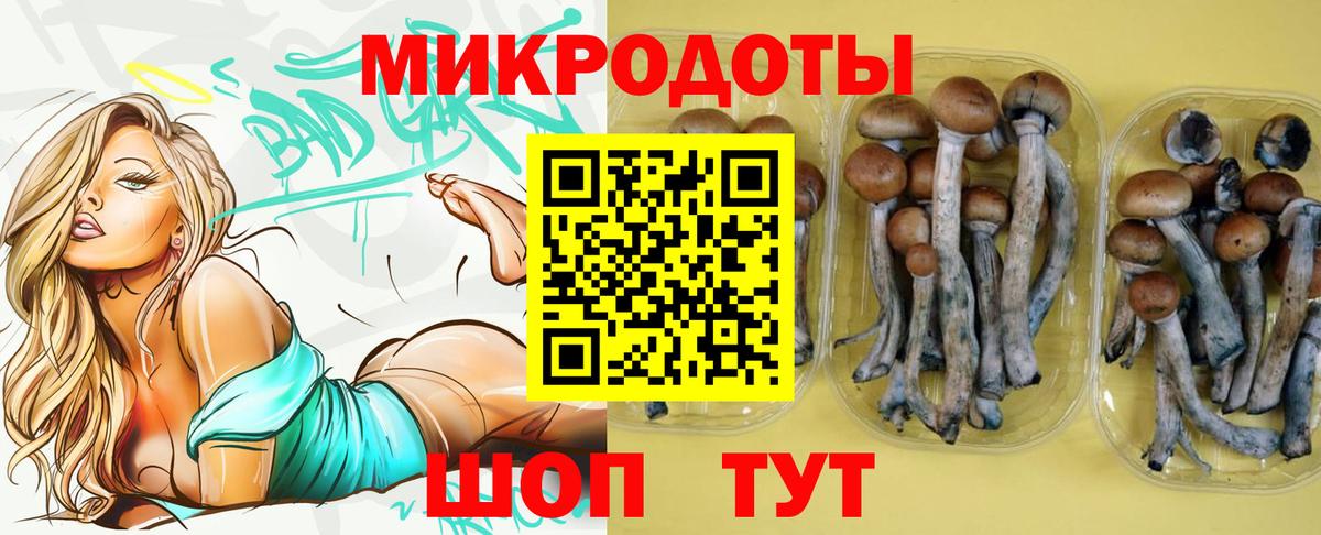 Псилоцибиновые грибы MAGIC MUSHROOMS Скопин