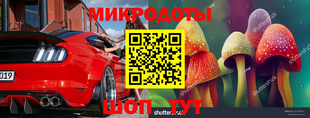 Скопин  Псилоцибиновые грибы Cubensis  Вход с VPN 